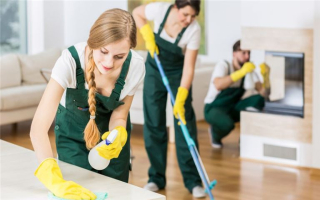 Established Residential Cleaning Franchise