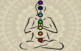 Established Lifestyle Retailer (Books, Gifts & Services) Prime Location in LA County