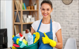 Thriving Cleaning Franchise, Ready to Grow! Thriving Cleaning Franchise, Ready to Grow!