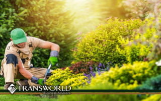 15 Years Strong: Trusted Lawn Care  15 Years Strong: Trusted Lawn Care