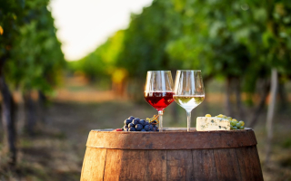 Independently Owned & Operated Farm Winery, Tasting Room, & Events Venue in Minnesota. 57582